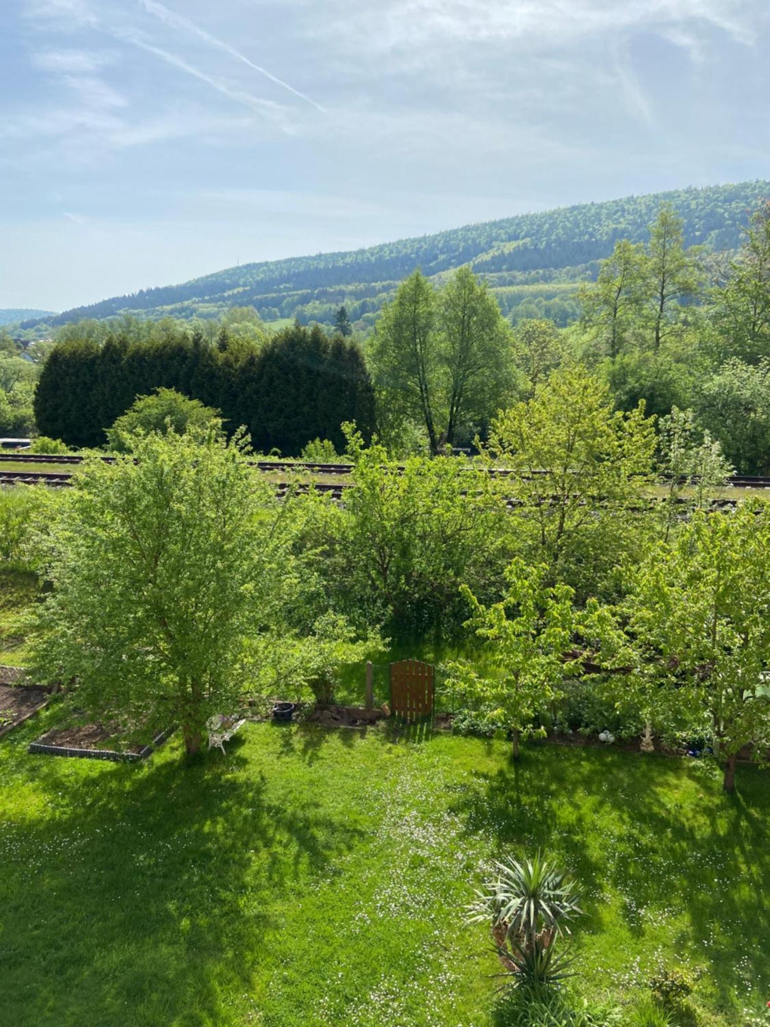 2Z-Ferienwohnung, Umgeben Vom Spessart & Main Stadtprozelten Exteriör bild